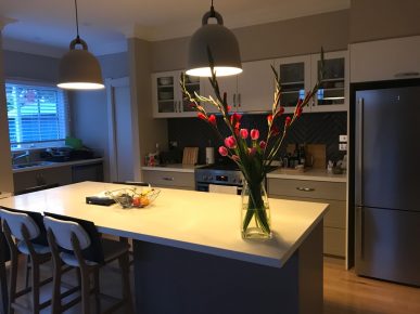 kitchen renovations